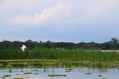 画像に alt 属性が指定されていません。ファイル名: IMG_0543.jpg