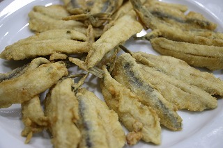 ボケローネス・フリートス