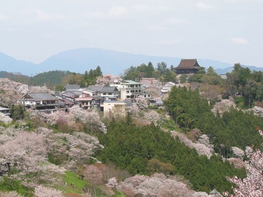 Cerezos en Yoshinoyama