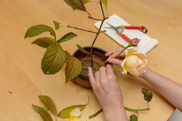Detalle de la base de un arreglo Ikebana