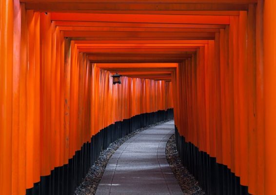 Torii de Fushimi Inari