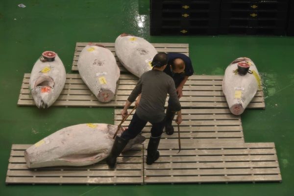 Exterior del Mercado de Toyosu