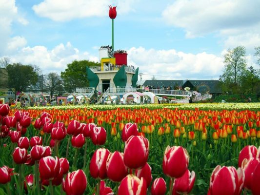 Feria de Tulipanes de Tonami