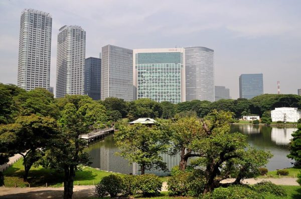 Flores de colza y rascacielos en Hama-rikyu