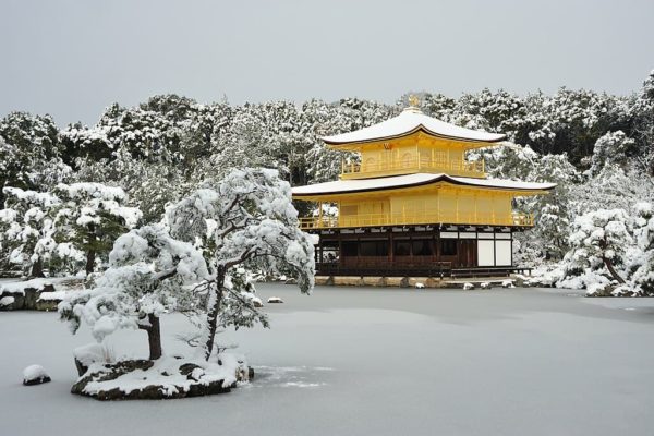 Kinkaku-ji nevado
