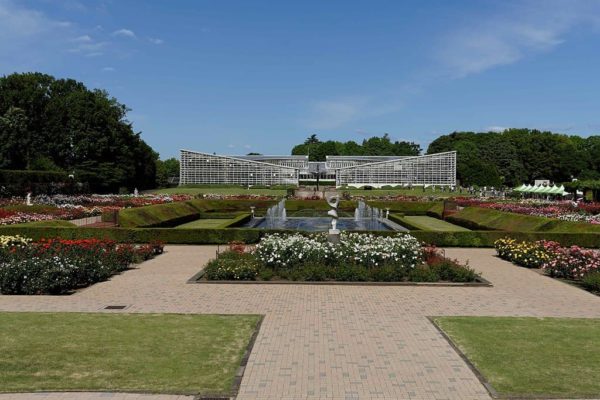 Rosas en el Jardín Botánico Jindai