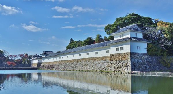 Castillo de Hikone, Tesoro Nacional